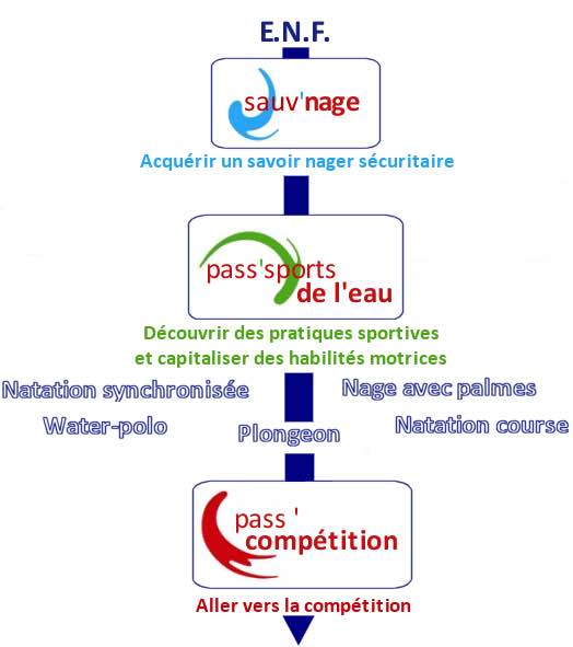 schema ENF